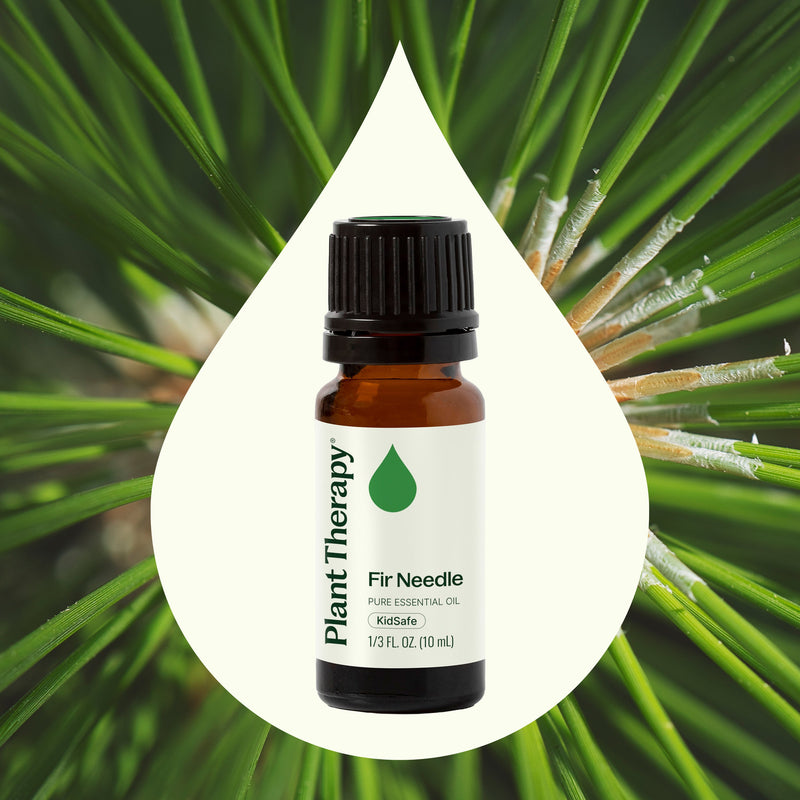 Plant Therapy Fir Needle Essential Oil Essential Oil