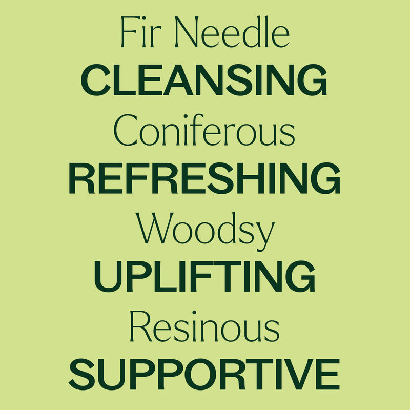 Plant Therapy Fir Needle Essential Oil Essential Oil