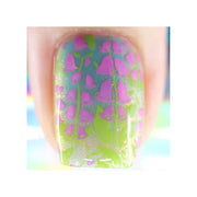 UberChic Beauty Floral Embrace Stamping Plate