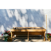 Modern Sprout Seed Pops - Pollinator Playful Planting