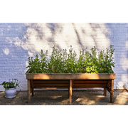 Modern Sprout Seed Pops - Pollinator Playful Planting