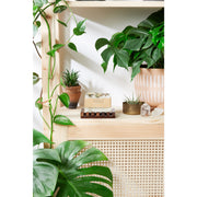 Butter Me Up Organics Flower Garden Soap / Organic Soap / Vegan Soap / Handmade Soap / Cold Process Soap Soap, Gifts