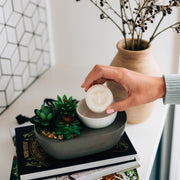 Fontana Candle Co Pure Vanilla Wax Melts Wax Melts