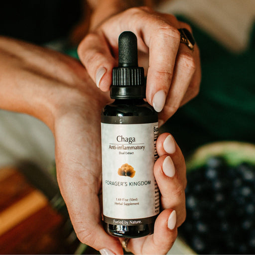 Forager's Kingdom Chaga Extract Mushroom Extract
