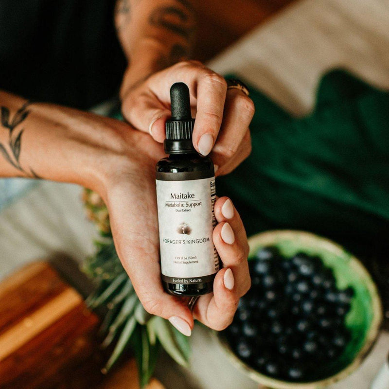 Forager's Kingdom Maitake Extract Mushroom Extract
