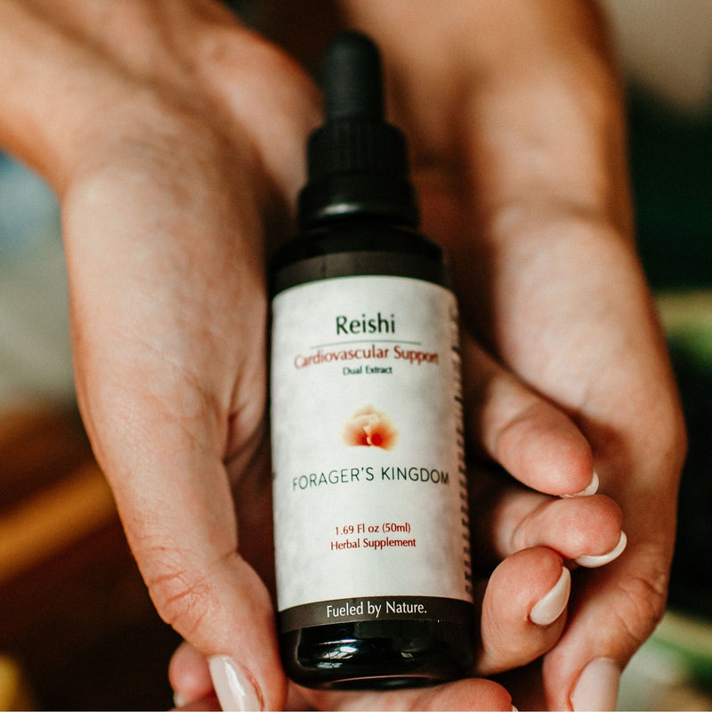 Forager's Kingdom Reishi Extract Mushroom Extract