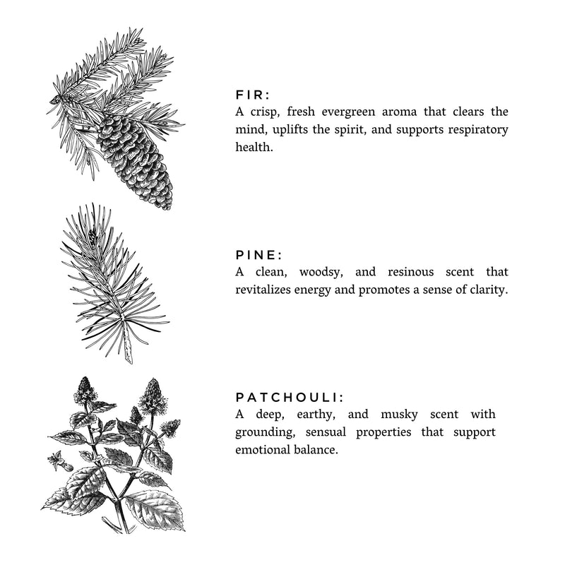 Slow North Forest Bathing - Signature Candle (Fir + Pine + Patchouli) Frosted Candles