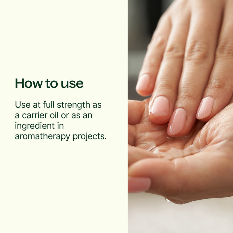 Plant Therapy Fractionated Coconut Carrier Oil Body Care