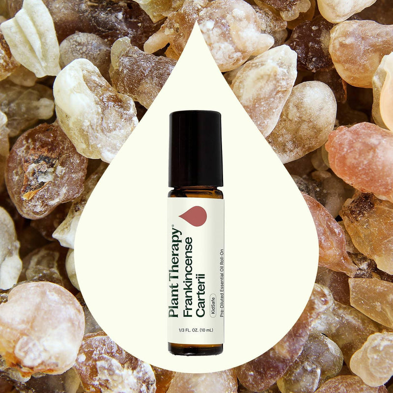 Plant Therapy Frankincense Carterii Essential Oil Pre-Diluted Roll-On Essential Oil