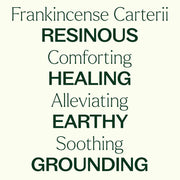 Plant Therapy Frankincense Carterii Essential Oil Essential Oil