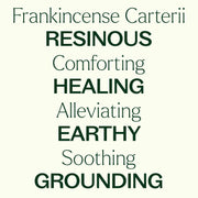 Plant Therapy Frankincense Carterii Essential Oil Pre-Diluted Roll-On Essential Oil
