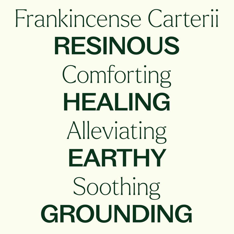 Plant Therapy Frankincense Carterii Essential Oil Pre-Diluted Roll-On Essential Oil