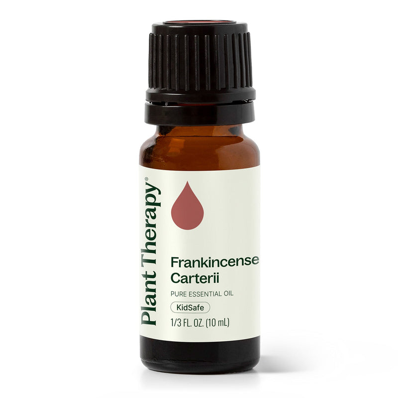 Plant Therapy Frankincense Carterii Essential Oil Essential Oil