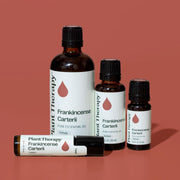 Plant Therapy Frankincense Carterii Essential Oil Pre-Diluted Roll-On Essential Oil