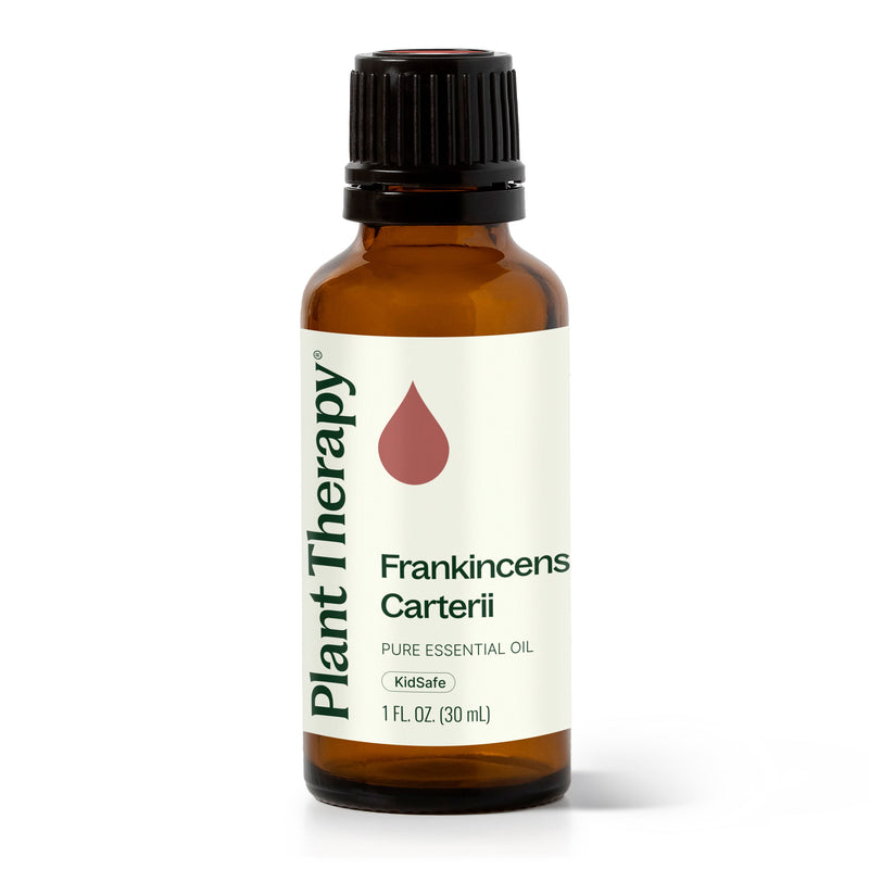 Plant Therapy Frankincense Carterii Essential Oil Essential Oil