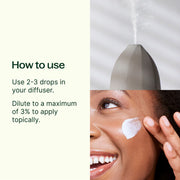 Plant Therapy Frankincense Serrata Essential Oil Essential Oil