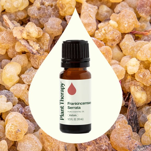 Plant Therapy Frankincense Serrata Essential Oil Essential Oil