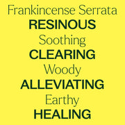 Plant Therapy Frankincense Serrata Essential Oil Essential Oil