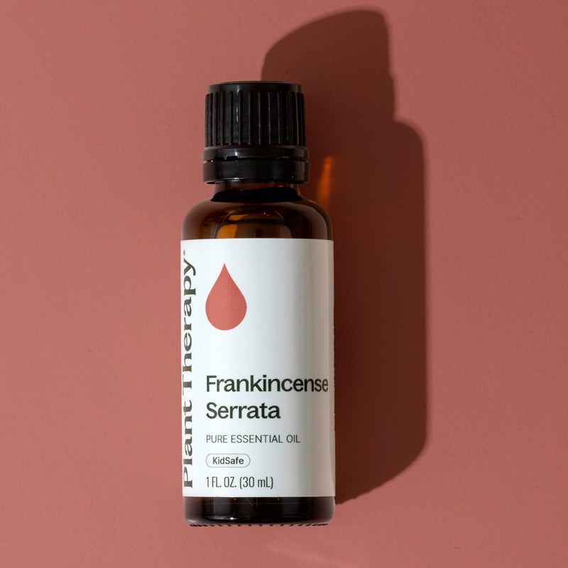 Plant Therapy Frankincense Serrata Essential Oil Essential Oil