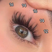 Pink Purée Anime Love Multi-pack DIY Lashes