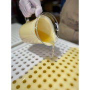 MION Artisan Soap Co. Lip Balm | Made with Cocoa & Mango Butter