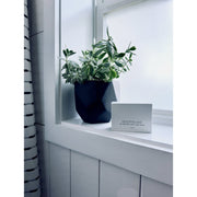 handmade. la conner Bar Soap - Seasonal