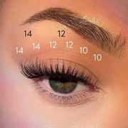 Pink Purée Free Spirit Multi-Pack DIY Lashes