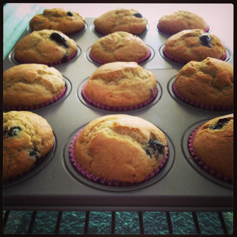 gfJules gfJules Gluten Free Muffin Mix
