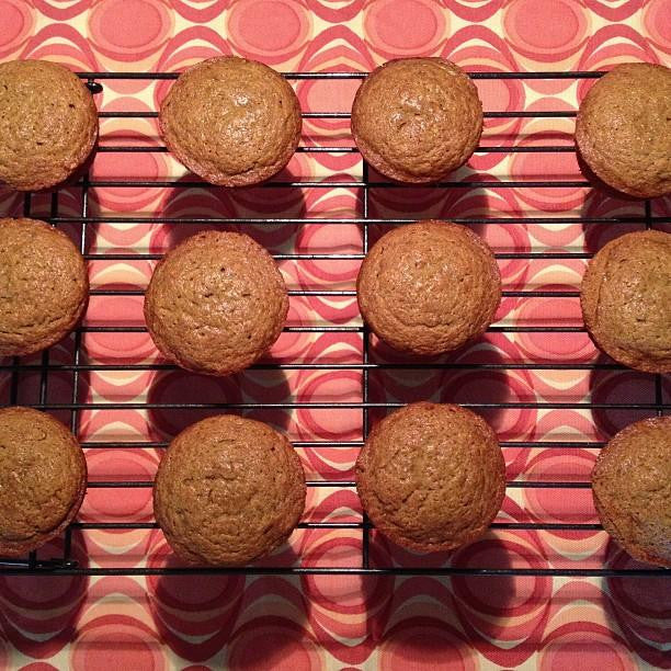 gfJules gfJules Gluten Free Muffin Mix