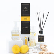 MIXOLOGIE Mixologie Ginger Lemon Home Products