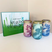 Modern Sprout Garden Jars - Organic Herbs Indoor Garden Kit