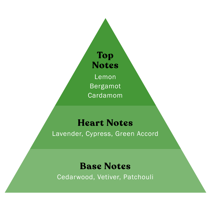 Grooming Lounge Grooming Lounge You're So Money EDT Colognes