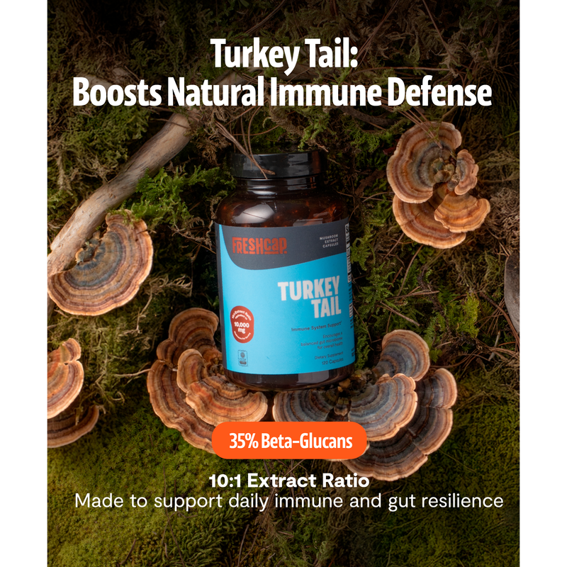 FreshCap Mushrooms Organic Turkey Tail Mushroom Capsules Capsules
