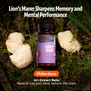 FreshCap Mushrooms Organic Lion’s Mane Capsules Capsules