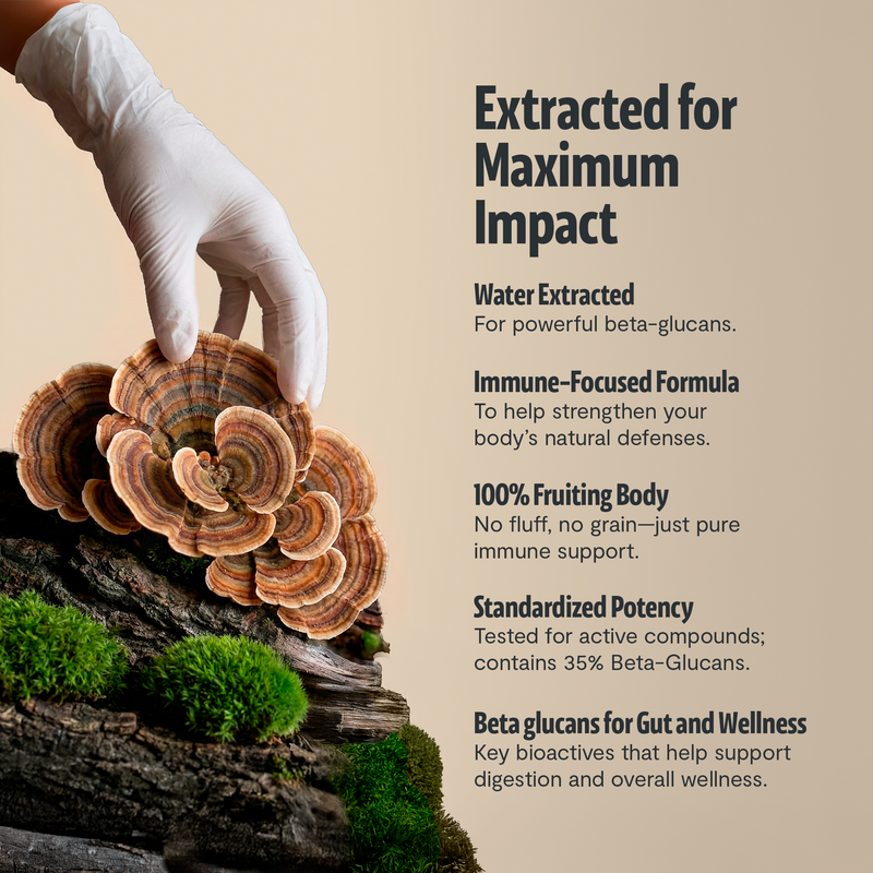 FreshCap Mushrooms Organic Turkey Tail Mushroom Capsules Capsules