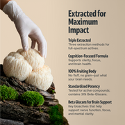 FreshCap Mushrooms Organic Lion’s Mane Capsules Capsules