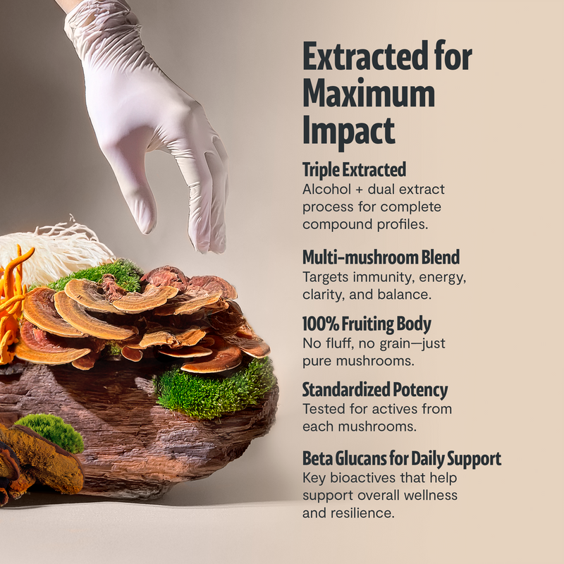 FreshCap Mushrooms Organic Mushroom Extract Powder Blend Powder