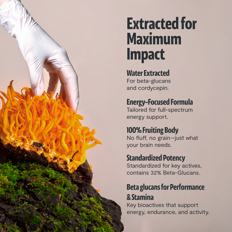 FreshCap Mushrooms Cordyceps Mushroom Extract Powder Powder