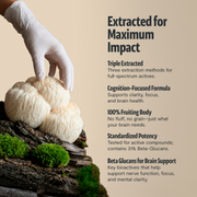 FreshCap Mushrooms Organic Lion’s Mane Mushroom Powder Powder