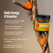 FreshCap Mushrooms Cordyceps Mushroom Extract Powder Powder
