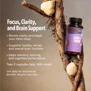 FreshCap Mushrooms Organic Lion’s Mane Capsules Capsules