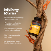 FreshCap Mushrooms Organic Cordyceps Mushroom Supplement Capsules Capsules