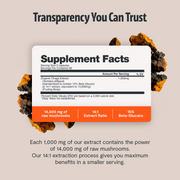 FreshCap Mushrooms Chaga Mushroom Extract Capsules Capsules