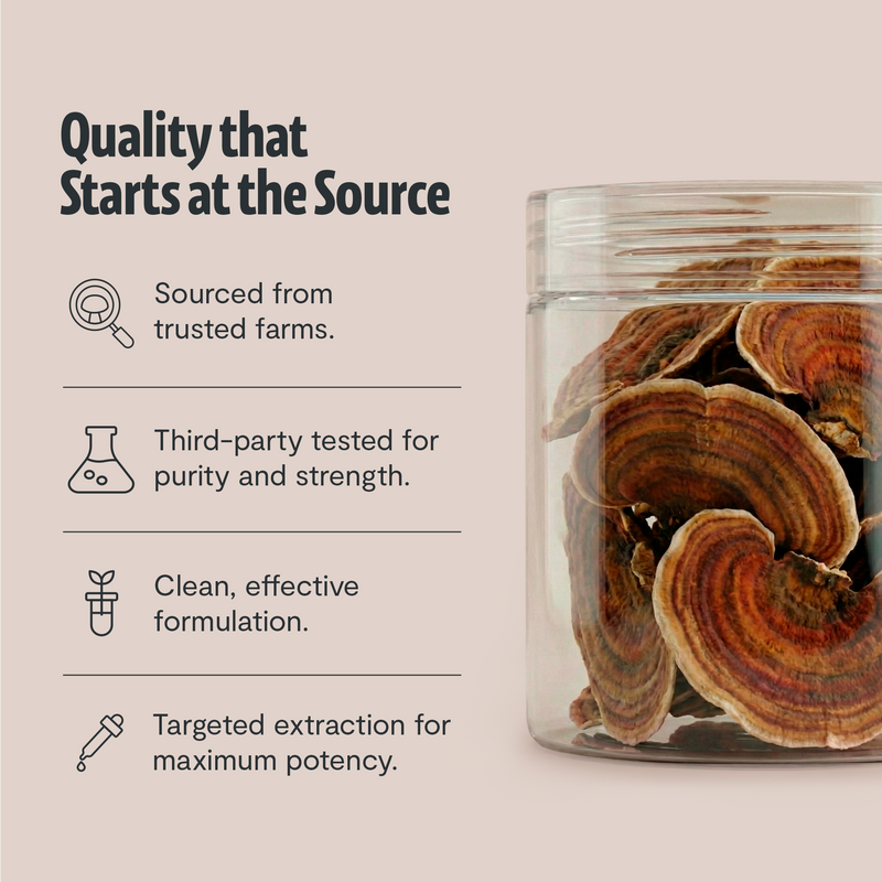 FreshCap Mushrooms Organic Turkey Tail Mushroom Powder Powder