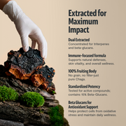 FreshCap Mushrooms Chaga Mushroom Extract Capsules Capsules