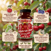 Hippie Farms Premium Tart Cherry Blend - Inflammation, Uric Acid, Sleep, Muscle Recovery Vitamins & Supplements
