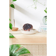 Butter Me Up Organics Organic Geode Bath Bombs / Geode / Organic Bath Fizzie Bath