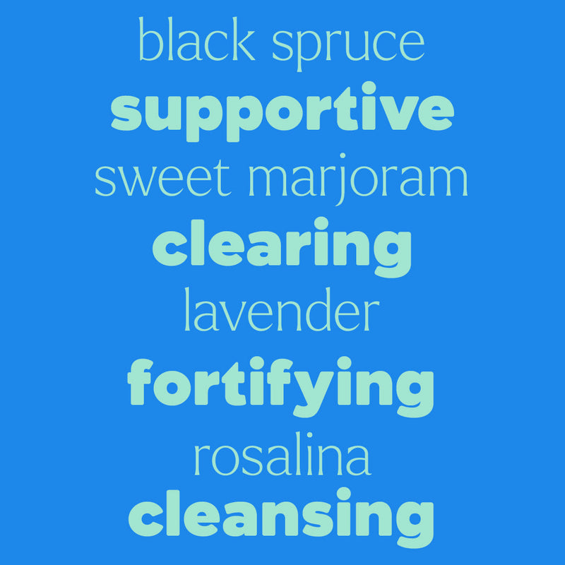 Plant Therapy Germ Destroyer Essential Oil Essential Oil