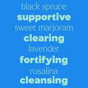 Plant Therapy Germ Destroyer Essential Oil Pre-Diluted Roll-On Essential Oil