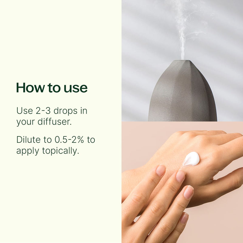 Plant Therapy Germ Fighter Essential Oil Blend Essential Oil Seashell 10 mL,30 mL,100 mL